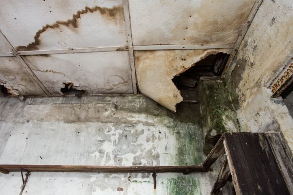 Cost of Water Damage Service in Boynton Beach