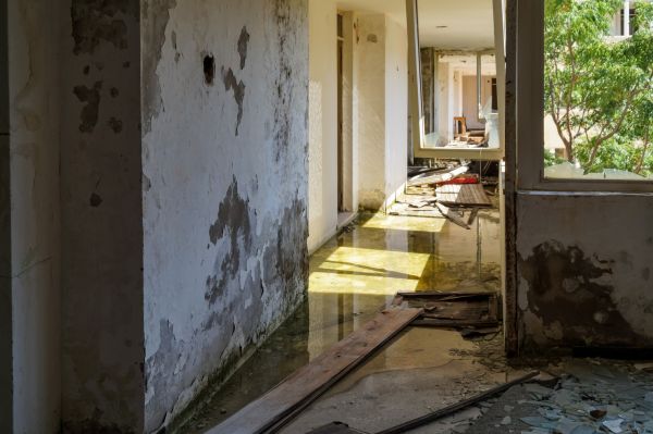 Cost of Water Removal Service in Boynton Beach