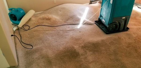 Carpet Water Extraction in Boynton Beach