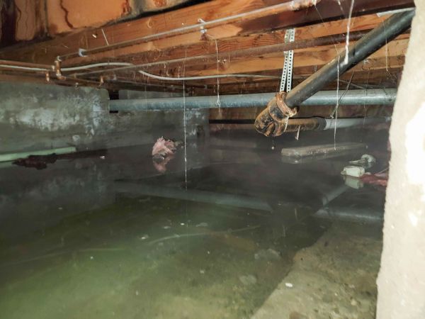 Crawlspace Water Restoration in Boynton Beach